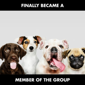 Finally A Member Of The Group MEME