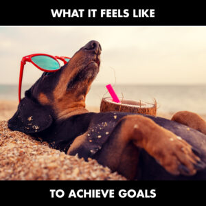 What It Feels Like To Achieve Goals MEME